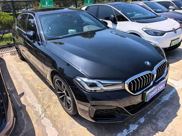 BMW 5 Series New Energy 2021