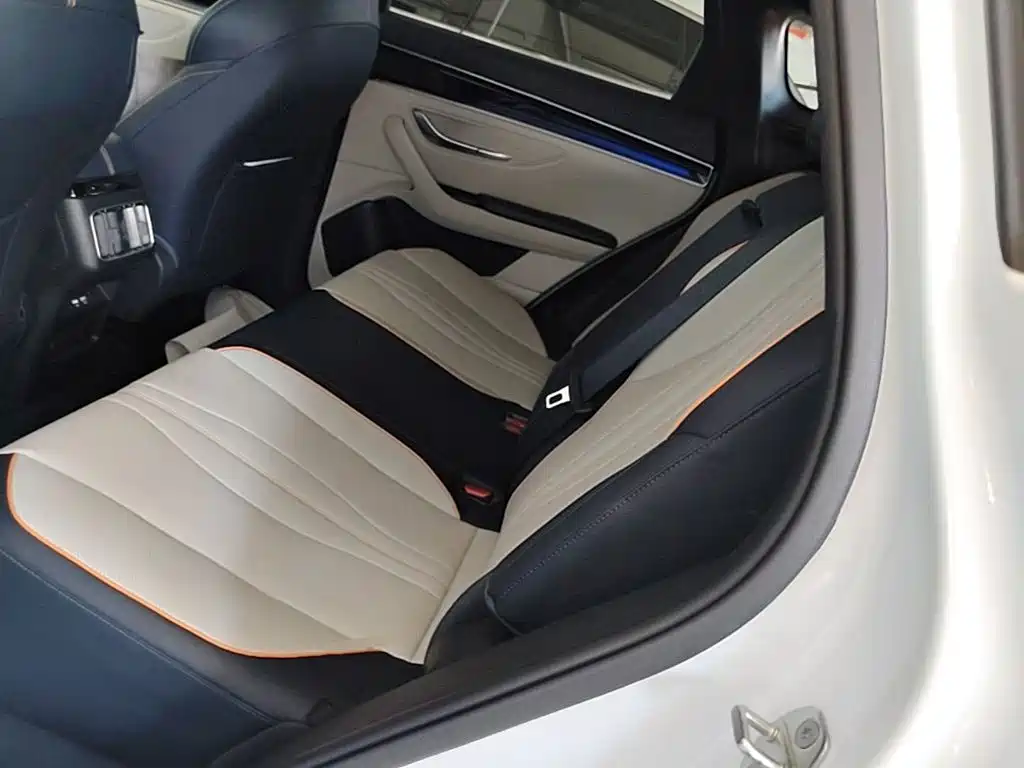 BYD PLUS New Energy 2023 — фото 17