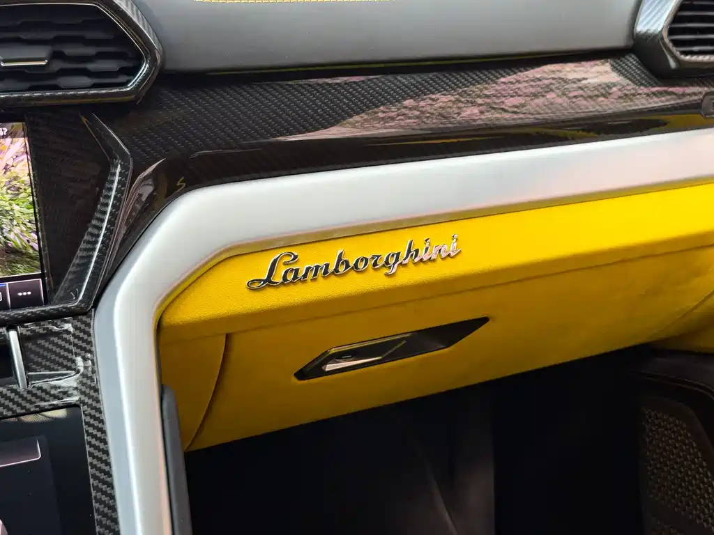 Lamborghini Urus 2019 — фото 10