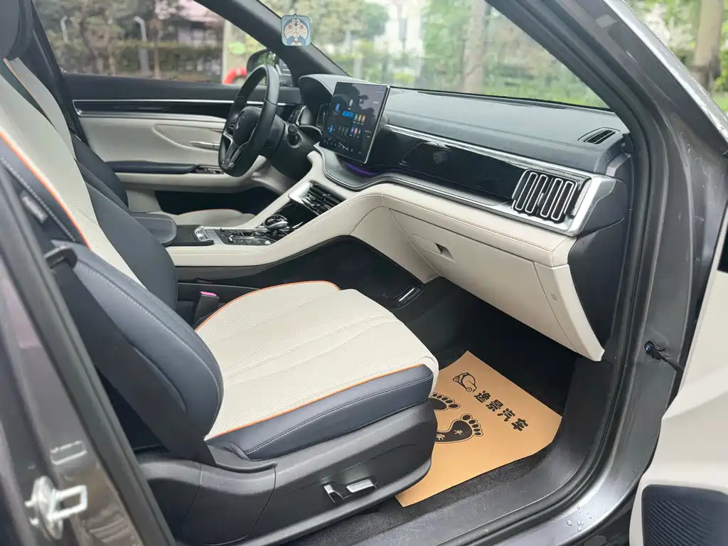 BYD PLUS New Energy 2022 — фото 14