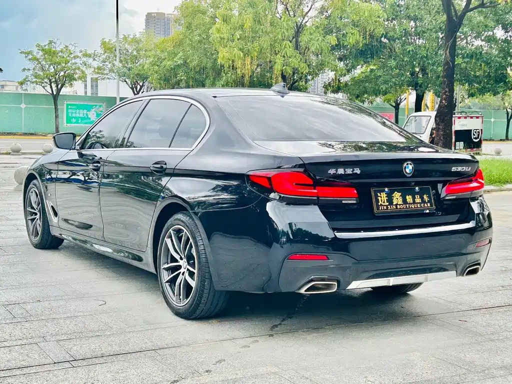 BMW 5 Series 2021