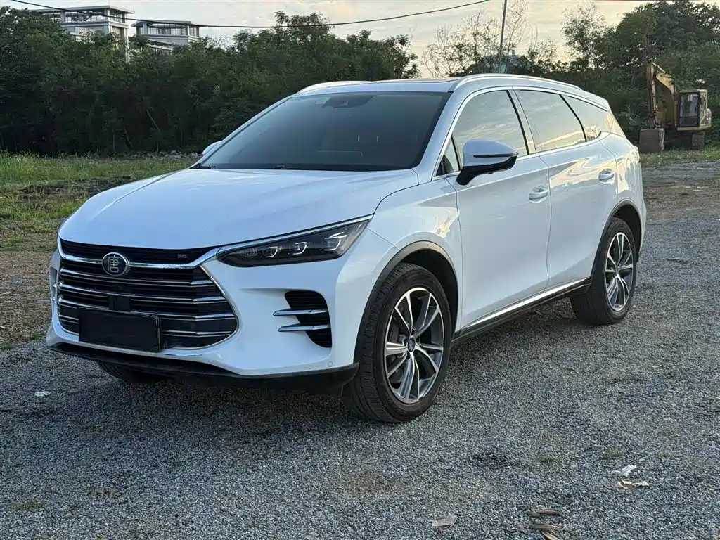 BYD Tang New Energy 2019 — фото 1