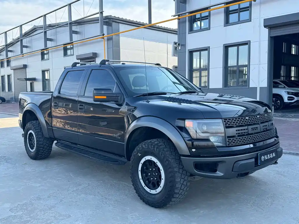 Ford F-150 Raptor 2015 — фото 3