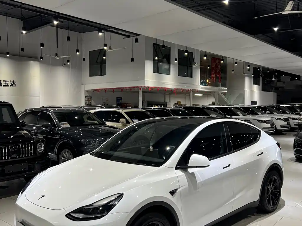 Tesla Model Y 2021 — фото 1