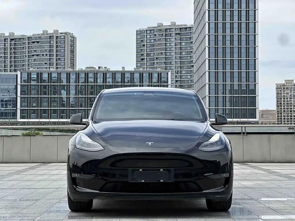 Tesla Model Y 2021 — фото 2