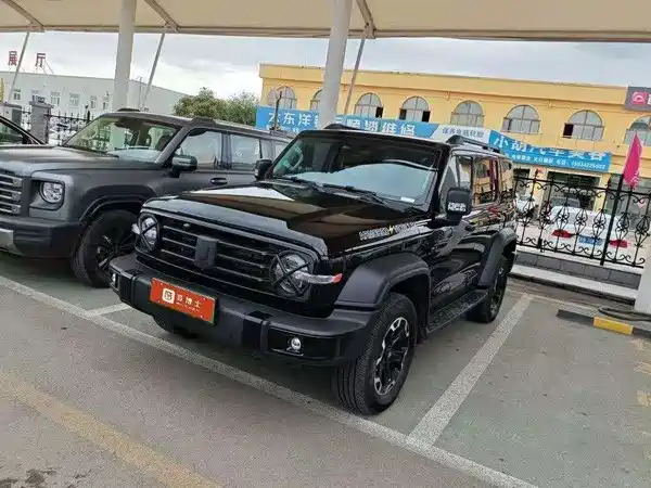 Tank 300 New Energy 2025