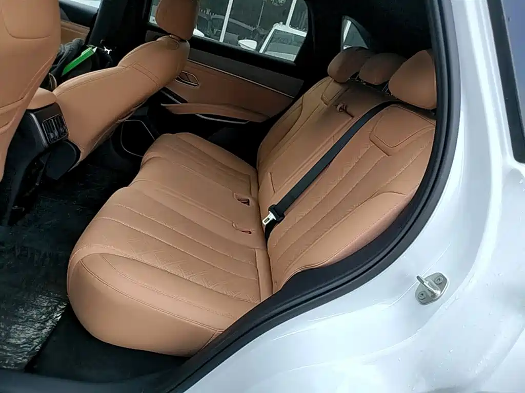 BYD L DM-i 2026 — фото 17