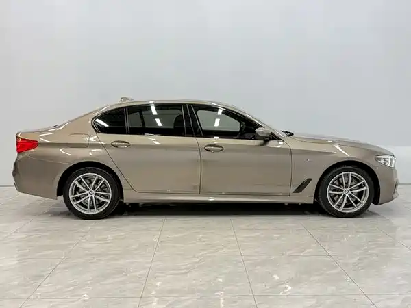 BMW 5 Series 2019
