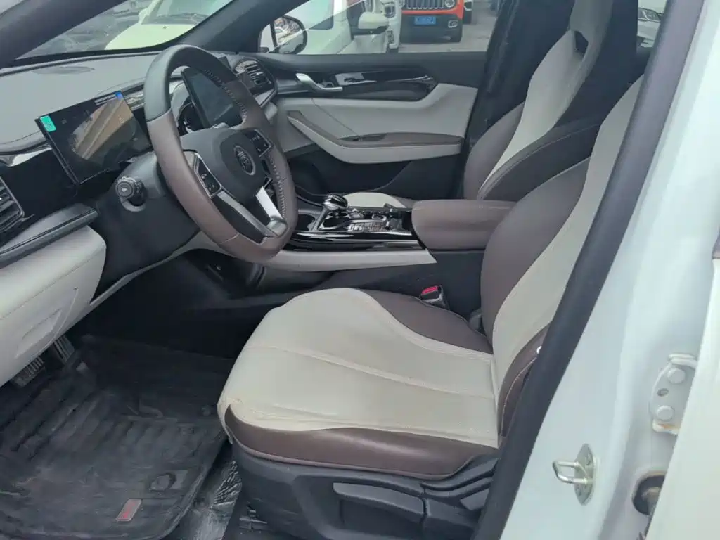 BYD Qin PLUS 2025 — фото 15