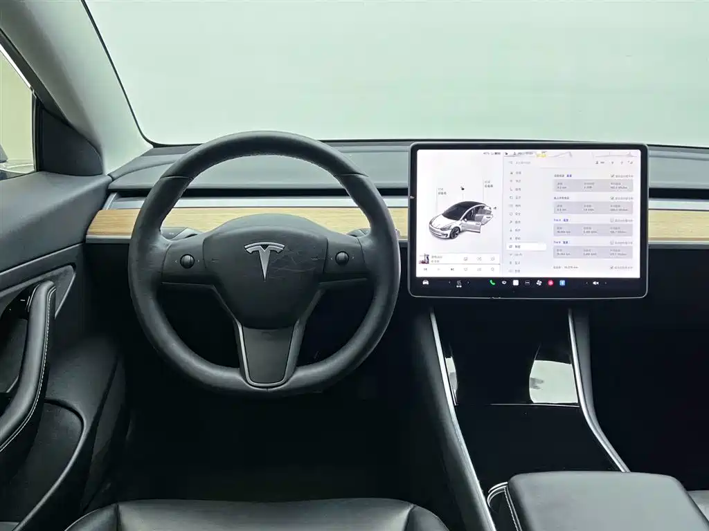 Tesla Model 3 2020 — фото 19
