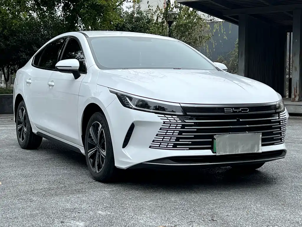 BYD Destroyer 05 2023 — фото 3