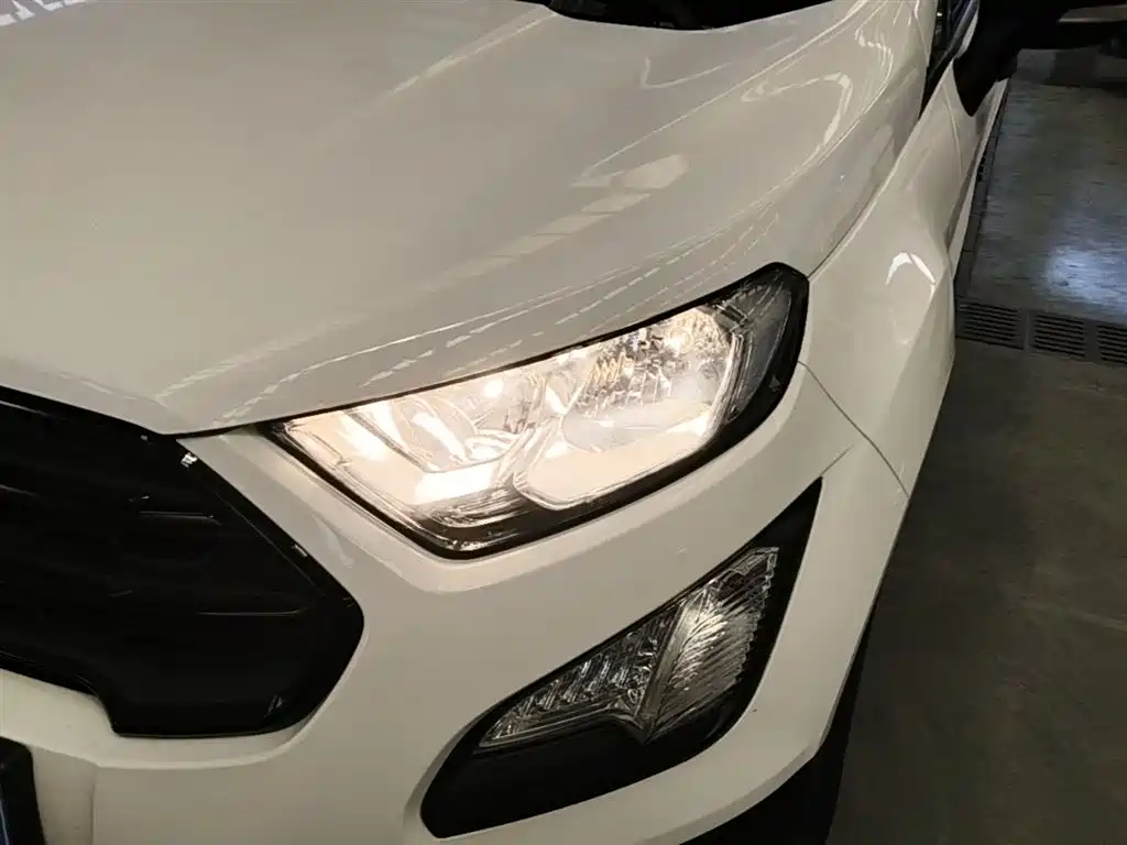 Ford Ecosport 2017 — фото 24