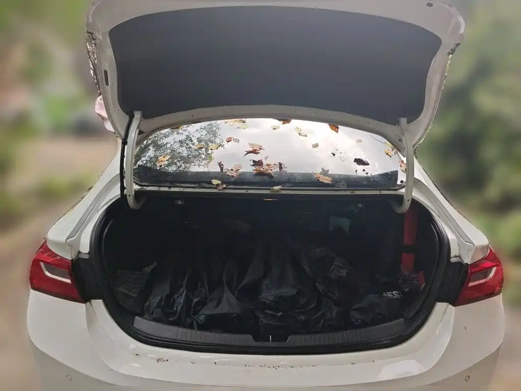 Chevrolet Malibu XL 2017 — фото 20