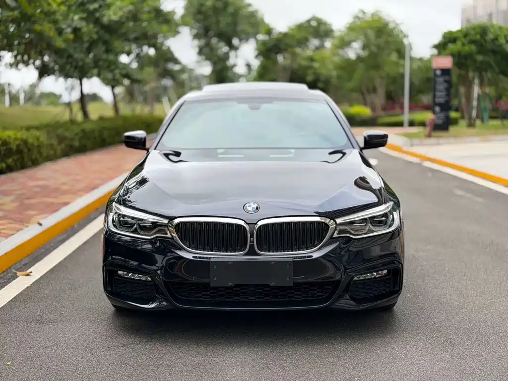 BMW 5 Series 2018 — фото 2