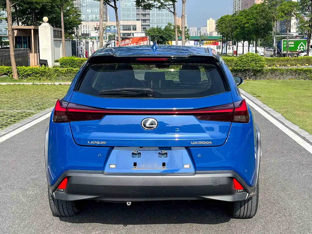 Lexus UX New Energy 2020 — фото 10