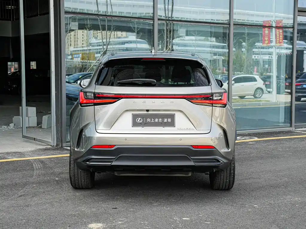 Lexus NX New Energy 2023 — фото 5