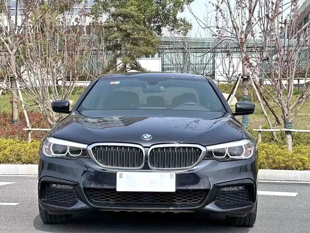 BMW 5 Series 2019 — фото 2