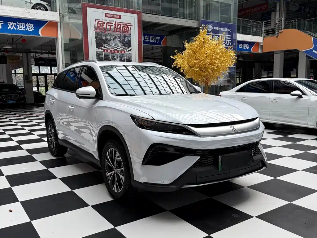 BYD Song Pro New Energy 2026 — фото 3