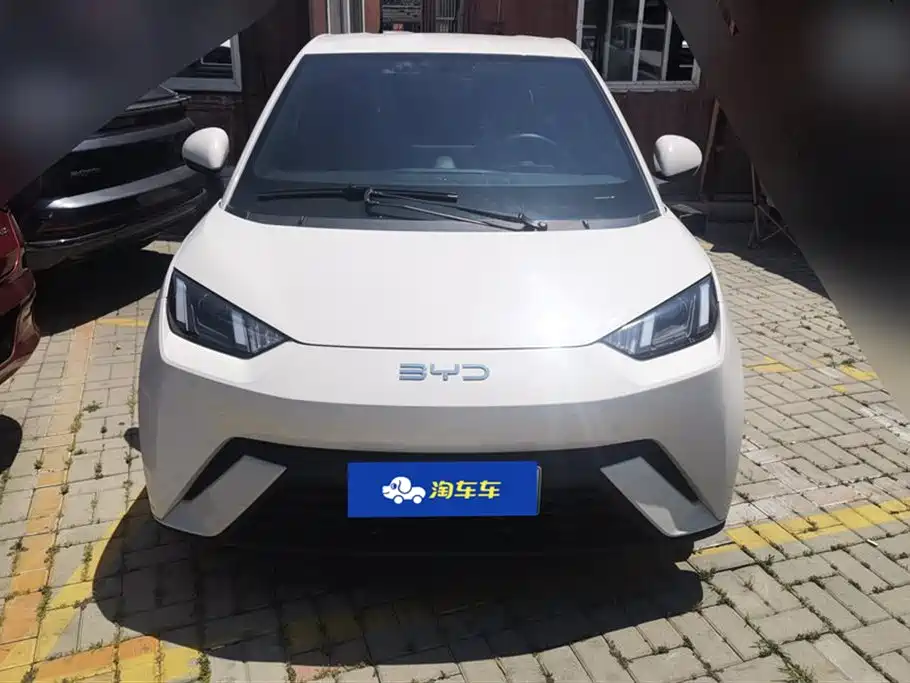 BYD Seagull 2024