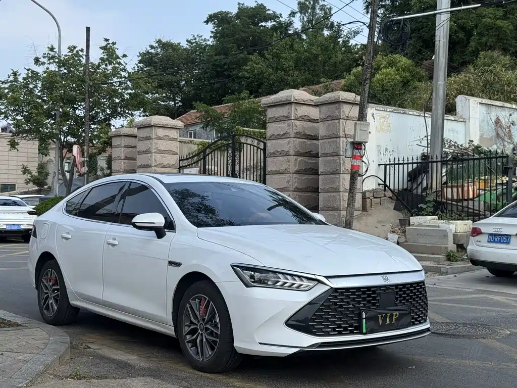BYD Qin PLUS 2024 — фото 3