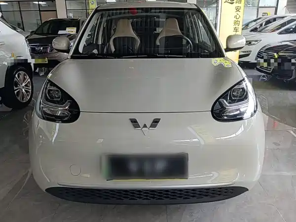 Wuling Bingo 2024