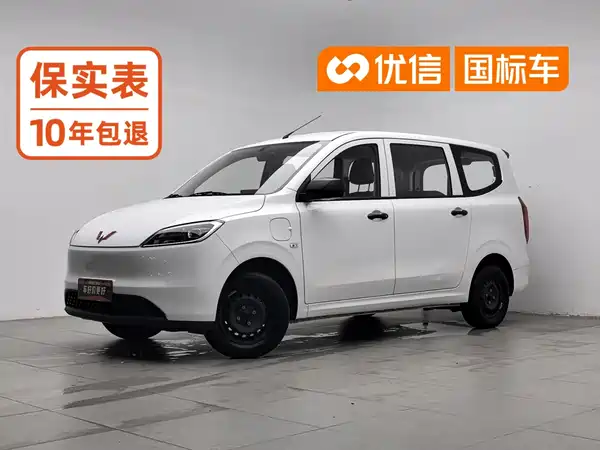 Wuling Hongguang New Energy 2025