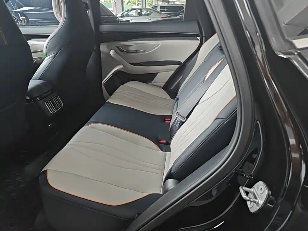 BYD Song PLUS New Energy 2021 — фото 17