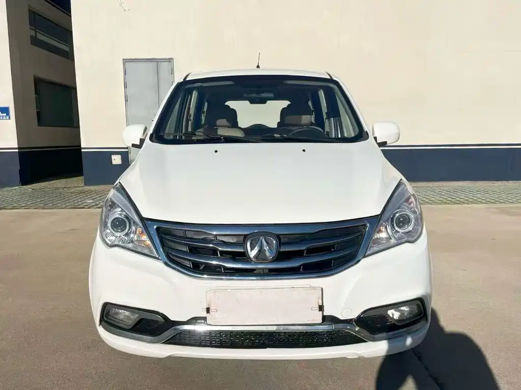 BAW Weiwang M20 2016