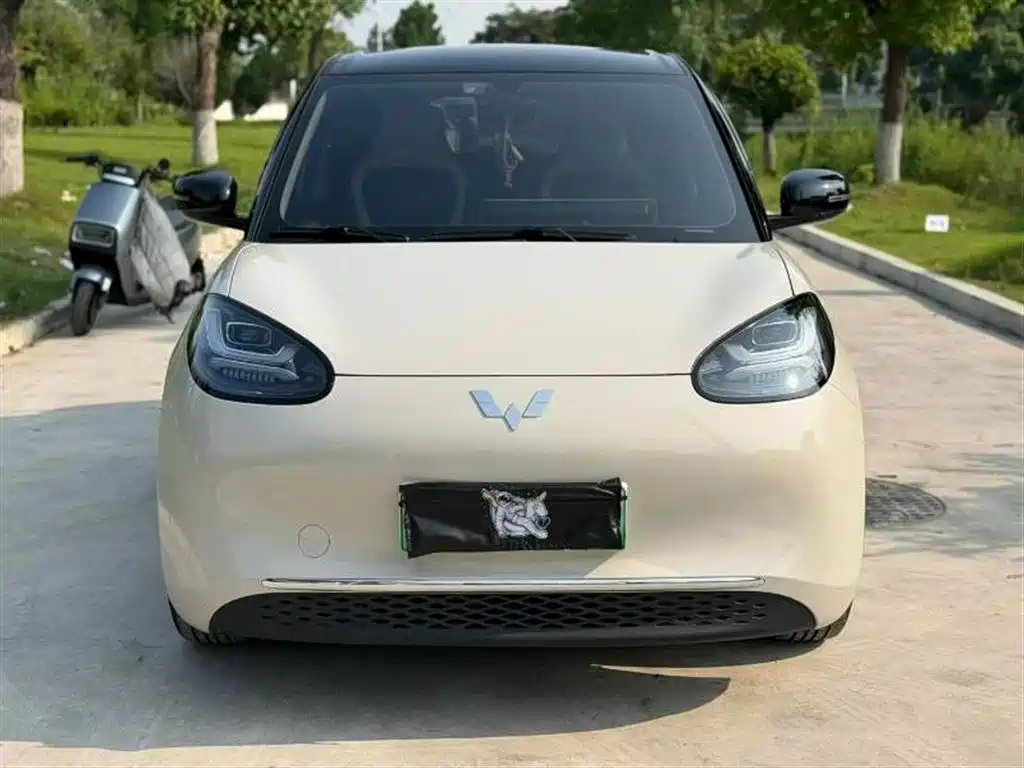 Wuling Bingo 2024