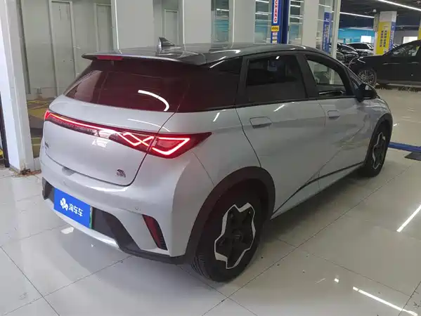 BYD Dolphin 2022