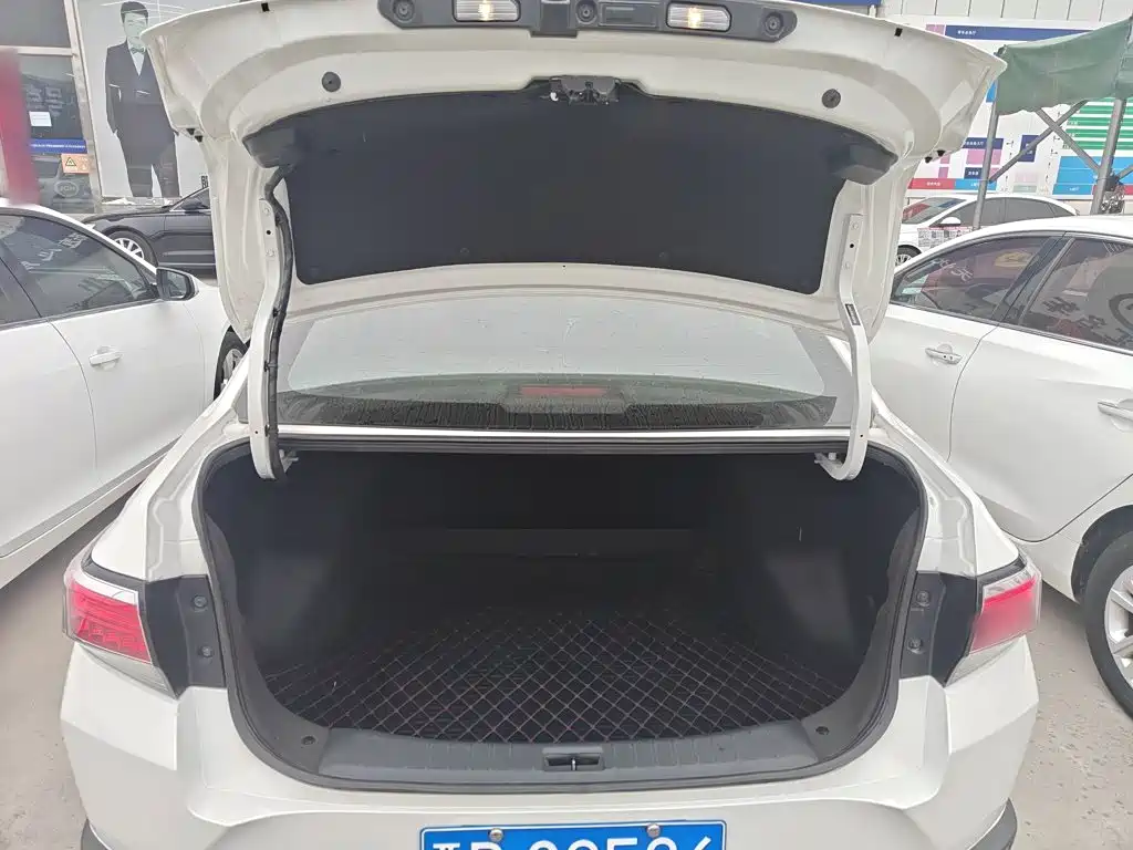 Venucia D60 2021 — фото 15