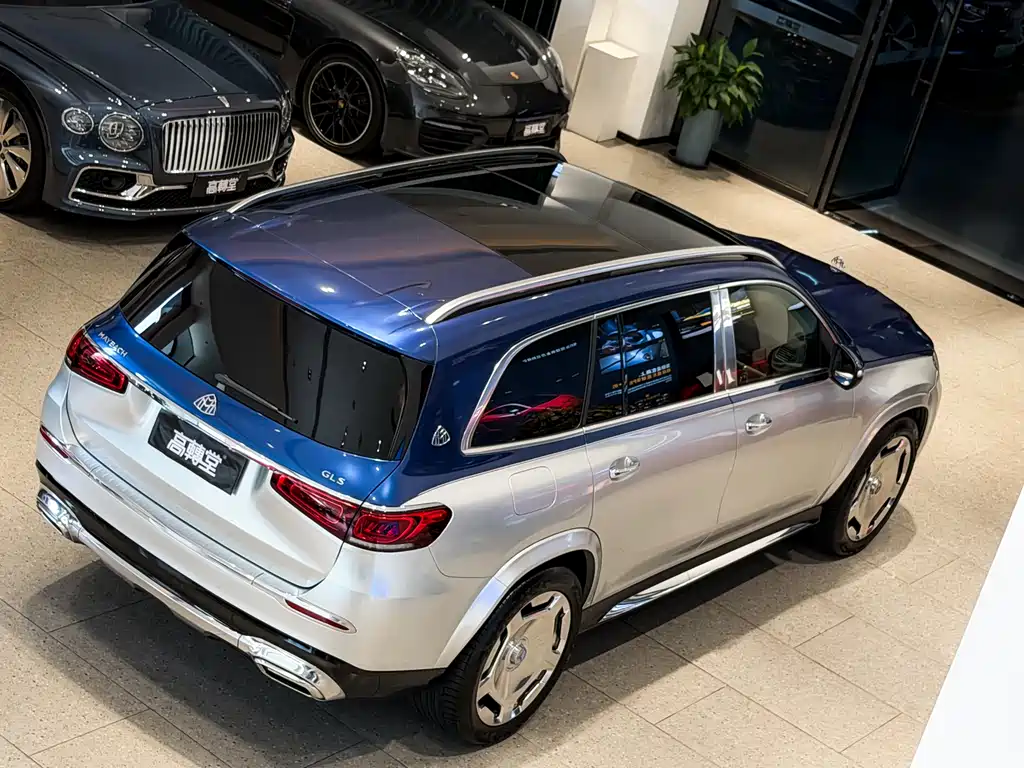 Mercedes-Benz GLS 2022 — фото 15