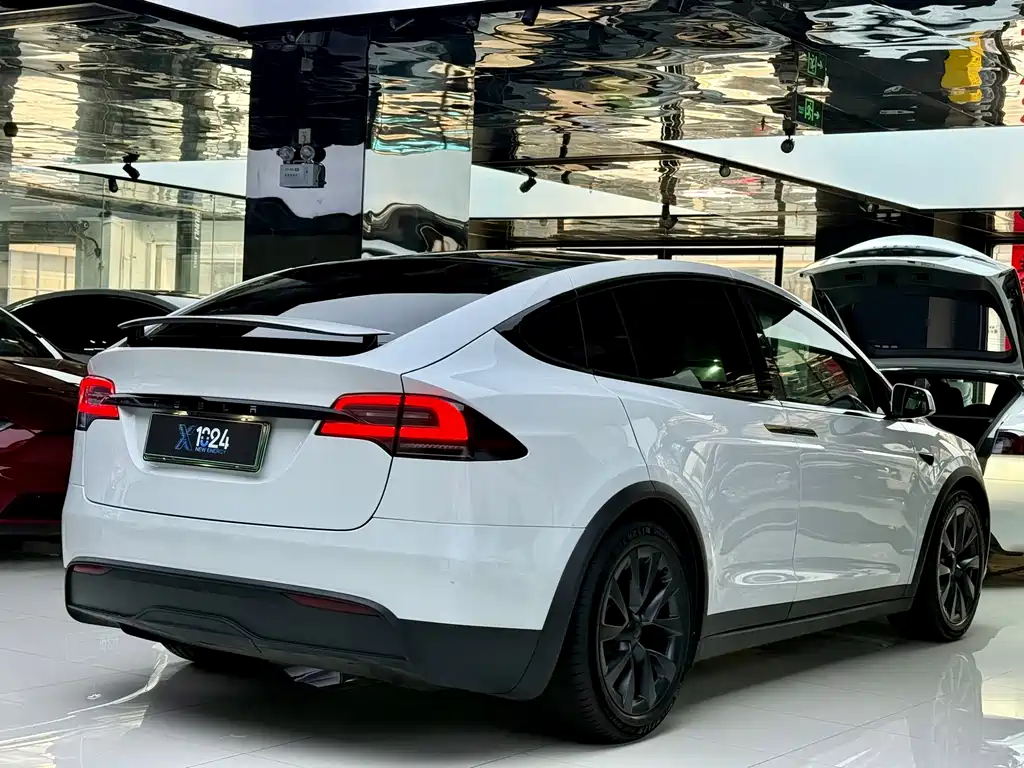 Tesla Model X 2023 — фото 16