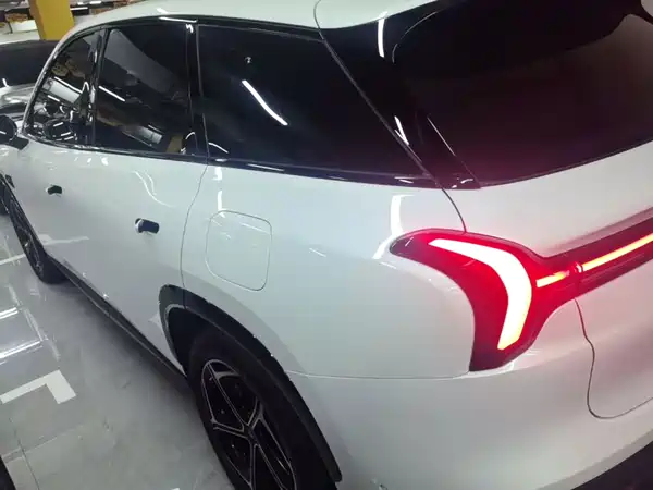Neta L 2024
