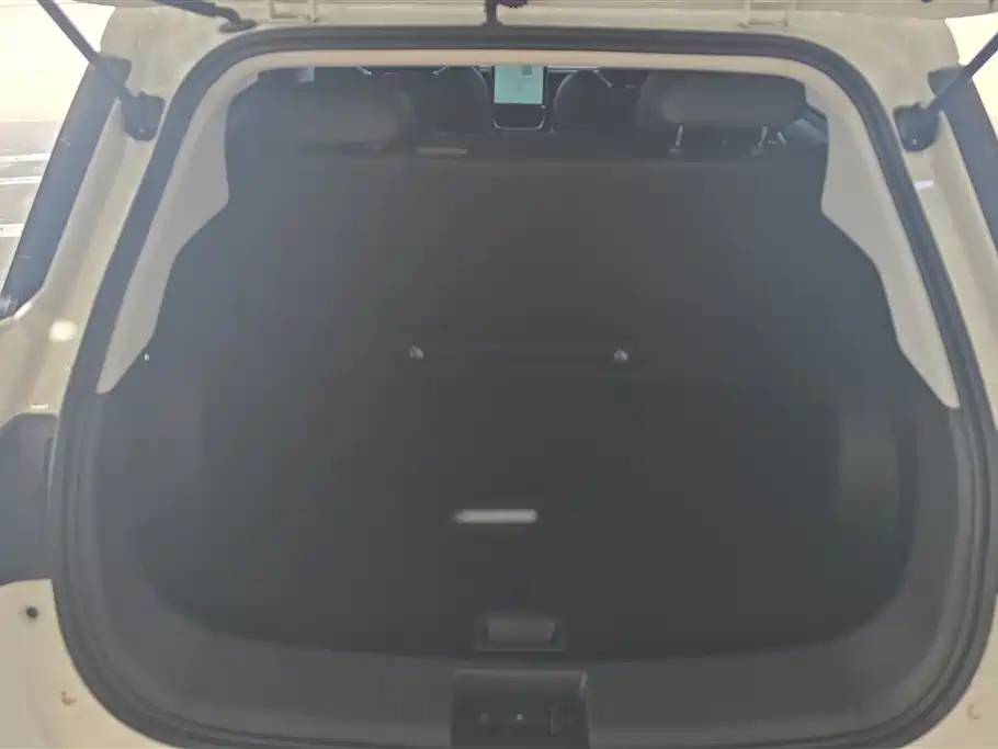 Neta V 2022
