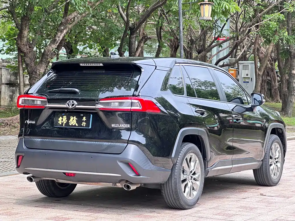 Toyota Wildlander 2021