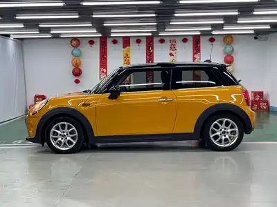MINI MINI 2015