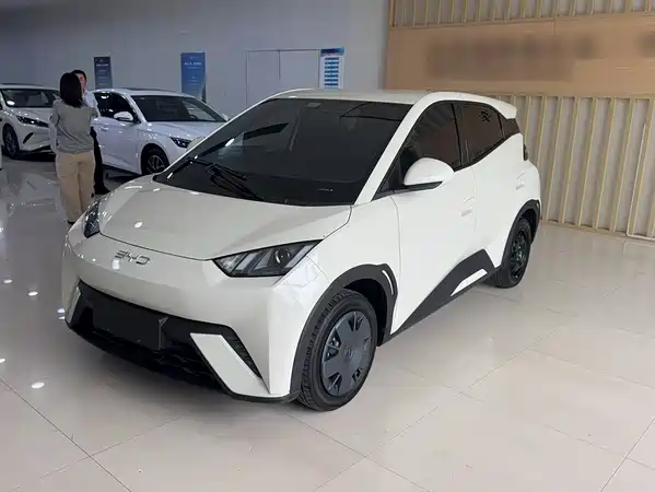 BYD Seagull 2024