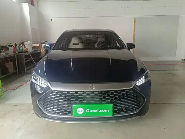 BYD Qin PLUS 2024