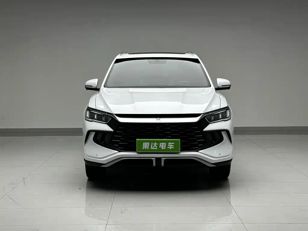 BYD Song Pro New Energy 2024 — фото 2