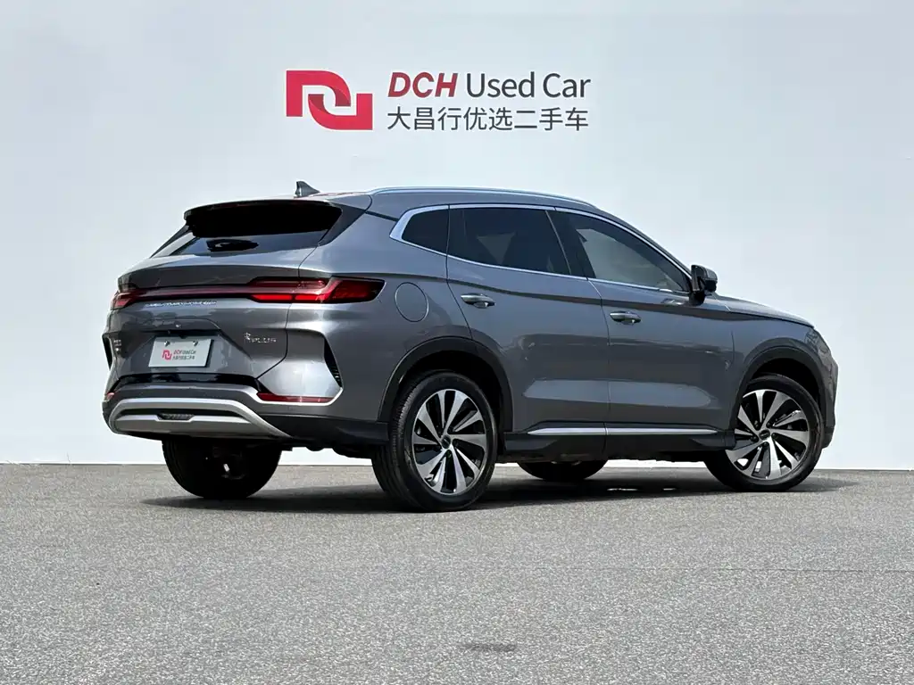 BYD Song PLUS New Energy 2024 — фото 2