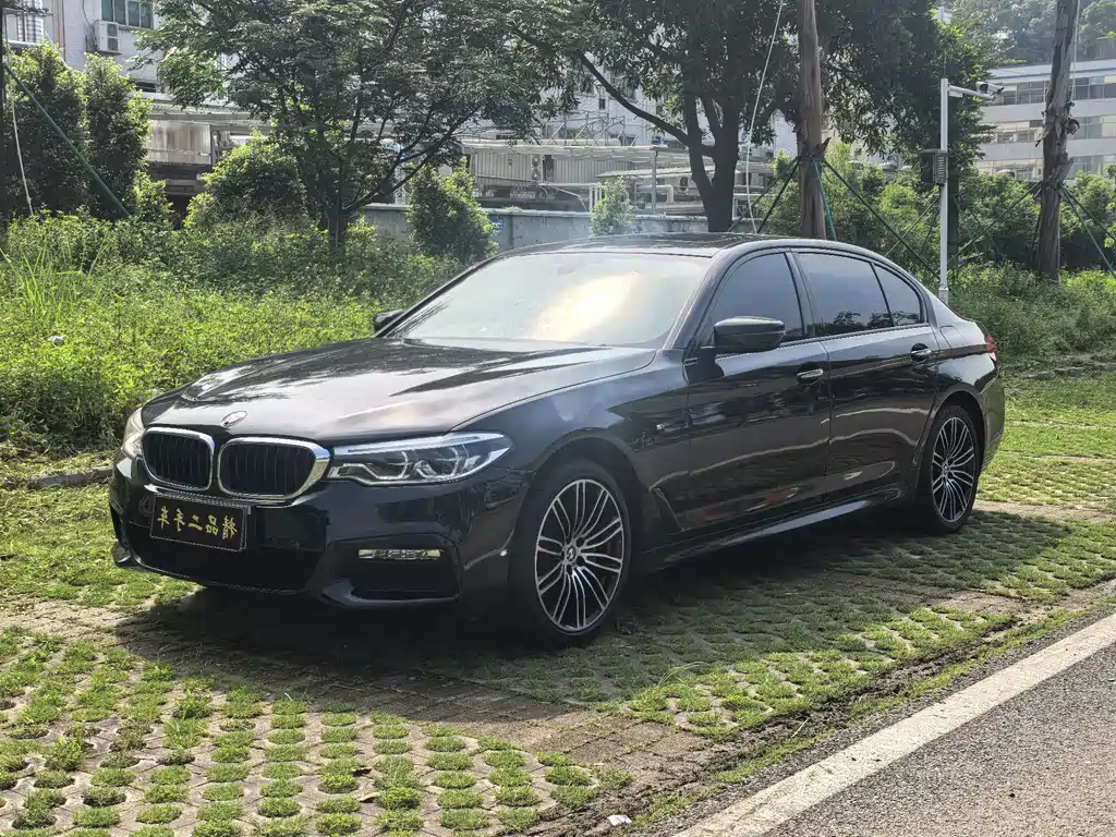 BMW 5 Series 2019