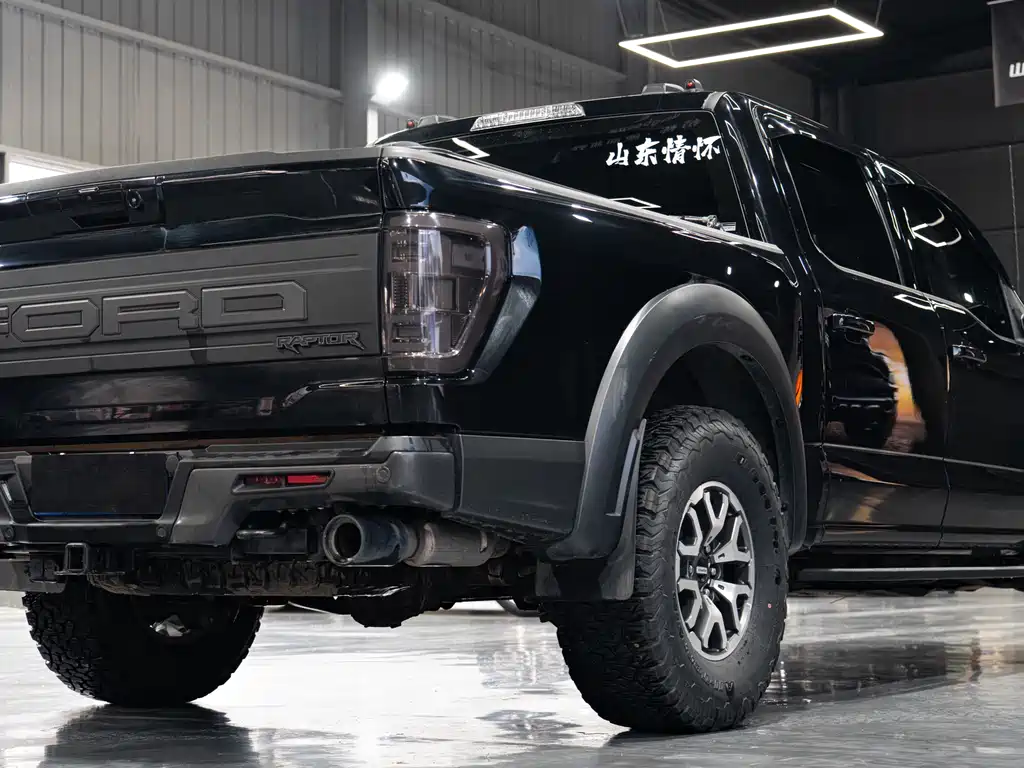 Ford F-150 Raptor 2023 — фото 8