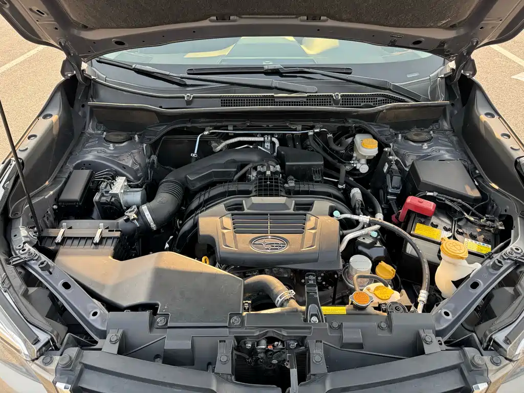 Subaru Forester 2019 — фото 28