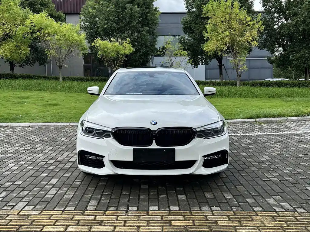 BMW 5 Series 2018 — фото 2