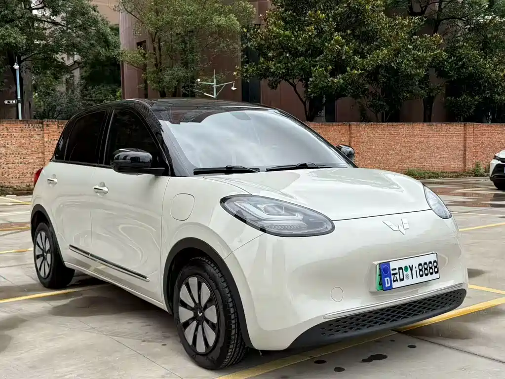 Wuling Bingo 2024