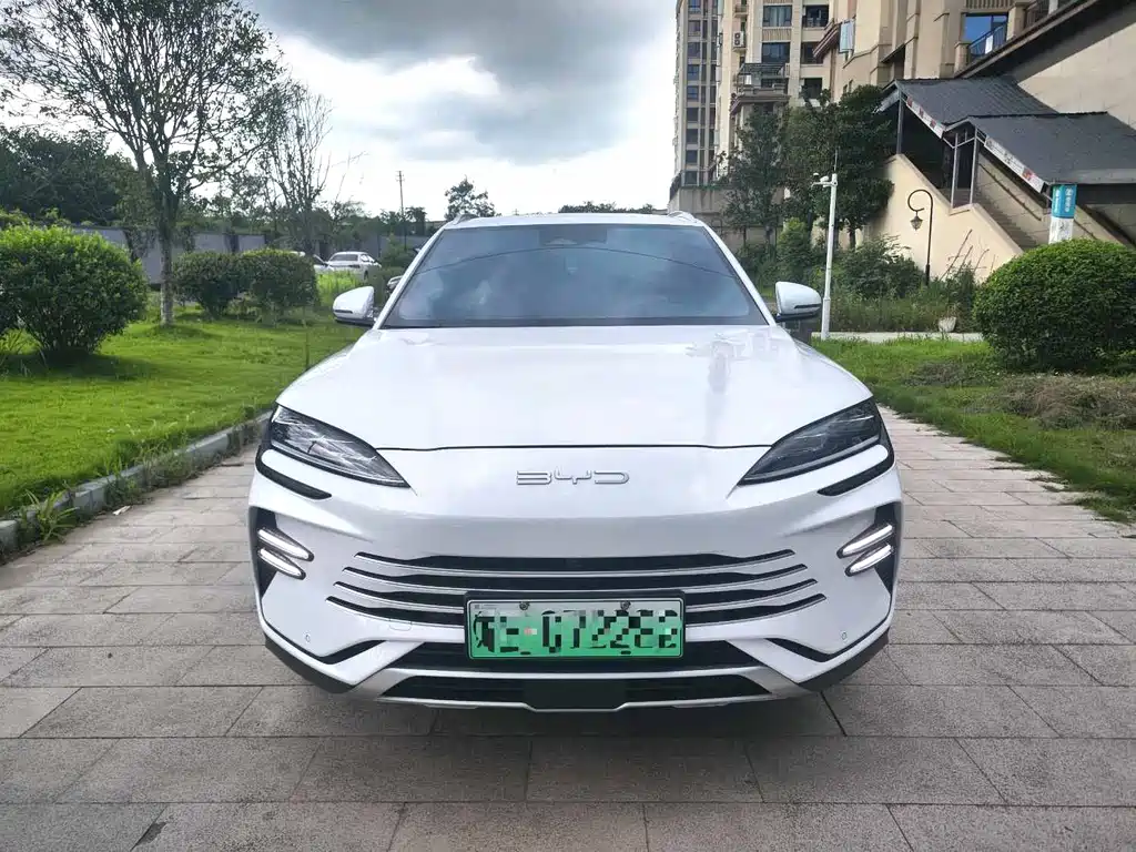 BYD PLUS New Energy 2024 — фото 2