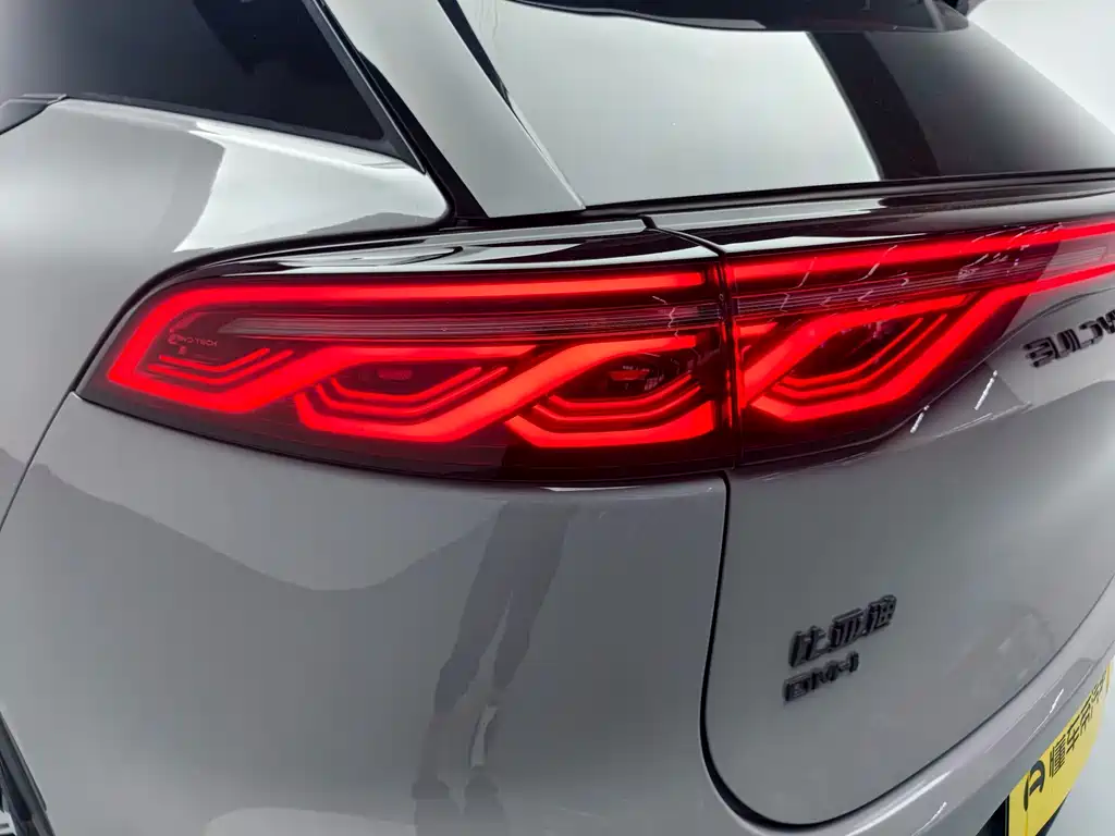 BYD Tang New Energy 2025 — фото 14