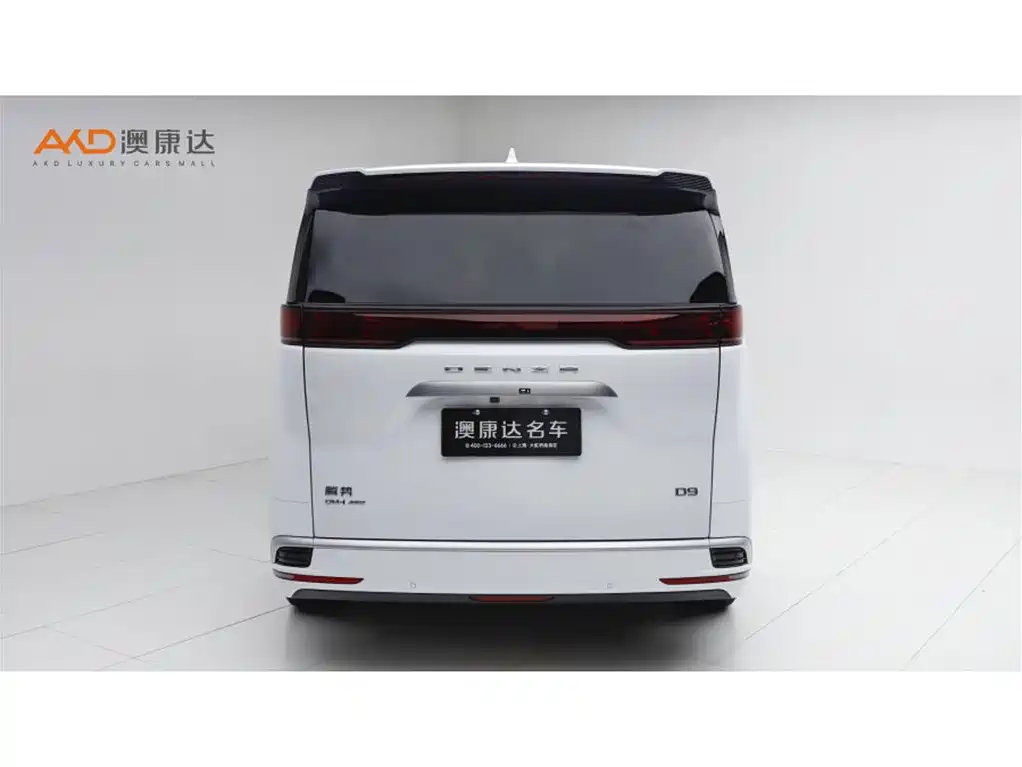 Denza D9 2023