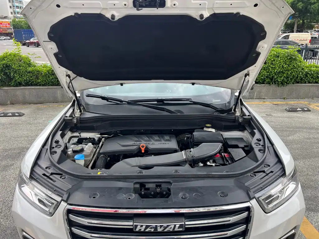 Haval H6 2020 — фото 23
